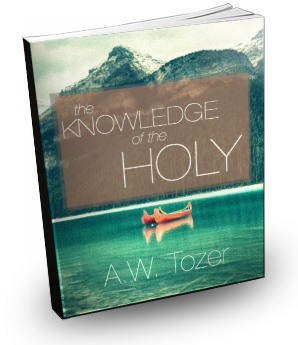 KnowledgeHolyTozer