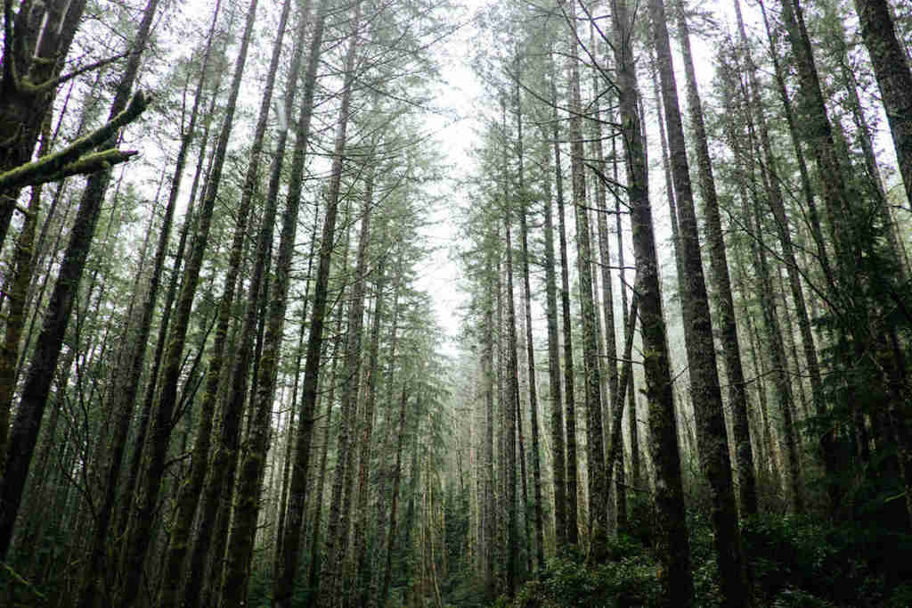 Two Things Leaders MUST Do in a Difficult Season Verge Network